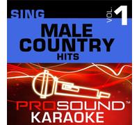 Artist Not Provided - Sing Male Country Hits Vol 1