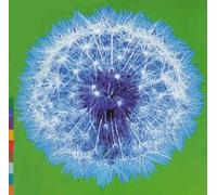 Real World-A Week or two in the (1994) - A Week Or Two in the Realwo