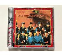 Artistes Divers - Electric Ladyland IV