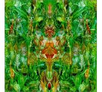 Artistes Divers - Emerald Aether: Shape Shifting/Reconstructions Of Irish Music