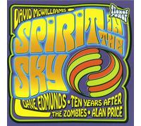 Artistes Divers - Spirit in The Sky [Import]