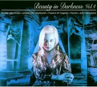 Artistes Divers - Vol. 4-Beauty in Darkness