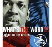 Artistes Divers - What's the Word
