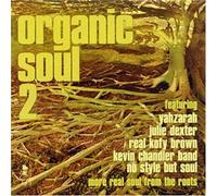 Artisti Vari - Vv.Aa.-Organic Soul 2