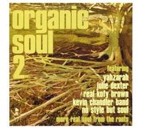 Artisti Vari - Vv.Aa.-Organic Soul 2