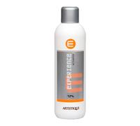 Artistique Experience Activator 12 % - 40 Vol. 12% 1 Liter