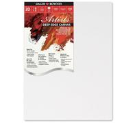 Artists Bastidor Entelado - 380G/M² -Triple Imprimación3D 50X50Cm