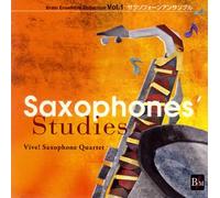 Artists Unknown - Saxphones'studies