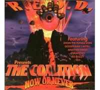 Artists, Various - The Coalition Now or Never