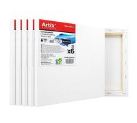 ARTIX - Set de 6 Lienzos para Pintar 20x20x1.5 cm, Paneles Imprimados, 100% Algodón, Lienzos Preestirados para Pintura Acrílica, Con Bastidor de madera, para Artistas Profesionales o Principiantes