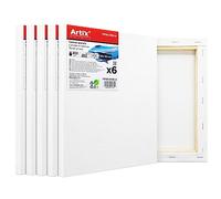 ARTIX - Set de 6 Lienzos para Pintar 20x30x1.5 cm, Paneles Imprimados, 100% Algodón, Lienzos Preestirados para Pintura Acrílica, Con Bastidor de madera, para Artistas Profesionales o Principiantes