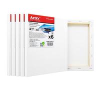 ARTIX - Set de 6 Lienzos para Pintar 24x30x1.5 cm, Paneles Imprimados, 100% Algodón, Lienzos Preestirados para Pintura Acrílica, Con Bastidor de madera, para Artistas Profesionales o Principiantes
