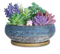 ARTKETTY 20.3 CM Macetas Grandes de Plantas suculentas con Bandeja de Drenaje Macetas de cerámica de Bonsái para Plantas de Interior Jardín Decorativo Cactus Flor Planta Recipiente Tazón