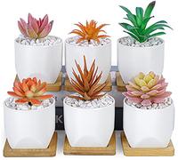ARTKETTY 6 macetas para suculentas, pequeñas macetas Blancas con Bandeja de Drenaje, macetas de cerámica para Interiores y Exteriores, decoración de jardín, hogar, Oficina