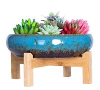 ARTKETTY Cuenco Grande para Plantas suculentas con Soporte, Maceta de cerámica para bonsái con Pantalla de Drenaje, contenedor para Plantas de Flores de Cactus