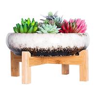 ARTKETTY Cuenco Grande para Plantas suculentas con Soporte, Maceta de cerámica para bonsái con Pantalla de Drenaje, contenedor para Plantas de Flores de Cactus
