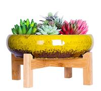 ARTKETTY Cuenco Grande para Plantas suculentas con Soporte, Maceta de cerámica para bonsái con Pantalla de Drenaje, contenedor para Plantas de Flores de Cactus