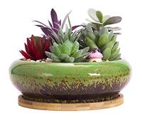 ARTKETTY Maceta para suculentas, Maceta Grande de bonsái de 18,5 cm con Bandeja de cerámica para suculentas con Agujero de Drenaje, macetas Poco Profundas para Cactus para Plantas de