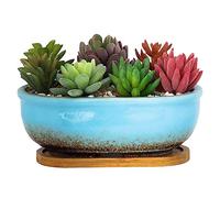 ARTKETTY Maceta Rectangular de 20 cm para Plantas de Interior, Maceta de cerámica para bonsái con Bandeja de Drenaje, Maceta pequeña para el hogar, jardín, Ventana