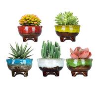ARTKETTY Macetas de cerámica para suculentas, macetas pequeñas para Cactus, 10 cm, contenedor de Flores esmaltadas con Drenaje, decoración del hogar y jardín, Paquete de 5