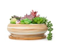 ARTKETTY - Macetas Decorativas para suculentas y Cactus, Grandes y Bajas, para bonsáis, Cactus, 19 cm, con Soporte de Drenaje, de cerámica, Decorativas, para Plantas de Interior