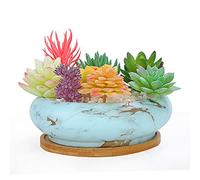 ARTKETTY Macetas Grandes y Poco Profundas con Bandeja de bambú de Drenaje, Maceta Decorativa de jardín Redonda de Cactus, Recipiente para Plantas Interiores y Exteriores