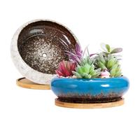 ARTKETTY Macetas, macetas Grandes para Plantas suculentas con Drenaje Pack de 2, macetas Poco Profundas para bonsáis con bandejas Macetas de cerámica para Plantas de Interior Cactus
