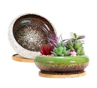 ARTKETTY Macetas, macetas Grandes para Plantas suculentas con Drenaje Pack de 2, macetas Poco Profundas para bonsáis con bandejas Macetas de cerámica para Plantas de Interior Cactus