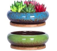 ARTKETTY Macetas, macetas Grandes para Plantas suculentas con Drenaje Pack de 2, macetas Poco Profundas para bonsáis con bandejas Macetas de cerámica para Plantas de Interior Cactus