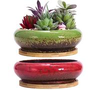 ARTKETTY Macetas para suculentas, 2 macetas Grandes para suculentas con Drenaje, macetas de bonsái Poco Profundas con bandejas, macetas de cerámica para Plantas de Cactus de Interior y Exterior