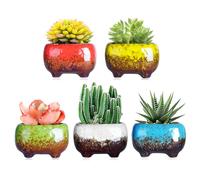 ARTKETTY Macetas para suculentas, macetas de cerámica de 12 cm con Orificio de Drenaje, macetas pequeñas para Interiores y Exteriores, Paquete de 5
