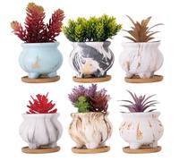 ARTKETTY Macetas para suculentas, macetas de mármol con Bandeja de Drenaje, Juego de 6, macetas pequeñas de cerámica para Plantas de Cactus de Interior y Exterior