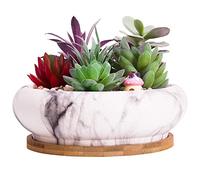 ARTKETTY Macetas para suculentas, macetas Grandes de bonsái de 18,5 cm con Bandeja de Drenaje, macetas de mármol Poco Profundas, macetas de cerámica para Plantas de Cactus de Interior