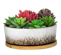 ARTKETTY Macetas para suculentas, macetas Grandes para suculentas con Drenaje, macetas de bonsái Poco Profundas con Bandeja, Maceta de cerámica para Cactus, Maceta Redonda para Plantas de Interior y