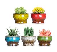 ARTKETTY Macetas suculentas - Macetas de cerámica para Cactus con Drenaje, Paquete de 5, macetas pequeñas para Plantas de Interior/Exterior, bonsái