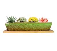 ARTKETTY Macetas suculentas - Macetas suculentas Grandes con Drenaje, recipientes rectangulares Largos para Plantas de Flores con bandejas, Caja de Ventana de bonsái de Cactus Poco Profunda (Verde)