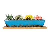ARTKETTY Macetas suculentas - Macetas suculentas Grandes con Drenaje, recipientes rectangulares Largos para Plantas de Flores con bandejas, Caja de Ventana de bonsái de Cactus Poco Profunda (Azul)