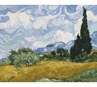 Artnapi Pintura por números Adultos con marco | Campo de trigo con cipreses Van Gogh | Kit para principiantes y adultos | pinturas acrílicas y pinceles incluidos | lienzo de 40x50cm