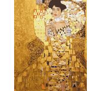 Artnapi Pintura por números Adultos con marco | DIY pintado a mano | Adele Bloch-Bauer Gustav Klimt | Kit para principiantes y adultos | Set que incluye pinturas acrílicas y pinceles | Lienzo 40x50cm