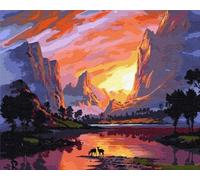 Artnapi Pintura por números Adultos con marco | DIY pintado a mano | Amanecer en Savannah | Kit para principiantes y adultos | Set que incluye pinturas acrílicas y pinceles | Lienzo 40x50cm | Regalos