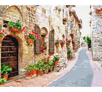 Artnapi Pintura por números Adultos con marco | DIY pintado a mano | Calle con flores | Kit para principiantes y adultos | Set que incluye pinturas acrílicas y pinceles | Lienzo 40x50cm