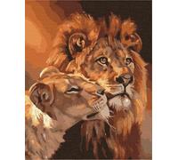 Artnapi Pintura por números Adultos con marco | DIY pintado a mano | El Rey León y Nala | Kit para principiantes y adultos | Set que incluye pinturas acrílicas y pinceles | Lienzo 40x50cm