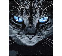 Artnapi Pintura por números Adultos con marco | DIY pintado a mano | Gato de ojos azules | Kit para principiantes y adultos | Set que incluye pinturas acrílicas y pinceles | Lienzo 40x50cm