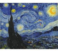 ARTNAPI Pintura por números Adultos con marco | DIY pintado a mano | La noche estrellada de Van Gogh | Kit para principiantes y adultos | Set que incluye pinturas acrílicas y pinceles | Lienzo 40x50cm
