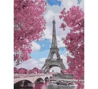 Artnapi Pintura por números Adultos con marco | DIY pintado a mano | Magnolias en París | Kit para principiantes y adultos | Set que incluye pinturas acrílicas y pinceles | Lienzo 40x50cm