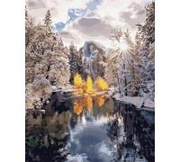 ARTNAPI Pintura por números Adultos con marco | DIY pintado a mano | Naturaleza - bosque de invierno | Kit para principiantes y adultos | Set que incluye pinturas acrílicas y pinceles | Lienzo 40x50cm