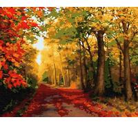 Artnapi Pintura por números Adultos con marco | DIY pintado a mano | Naturaleza - bosque de otoño | Kit para principiantes y adultos | Set que incluye pinturas acrílicas y pinceles | Lienzo 40x50cm