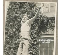 Arto Lindsay - Best Of - Encyclopedia of Arto