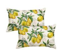 Artoid Mode Juego de 2 fundas de cojín de verano con diseño de hojas de limón, 30 x 50 cm, para primavera, temporada, para sofá, salón, decoración