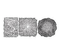 Artool texture fX - 200 mINI 2 pochoir 527